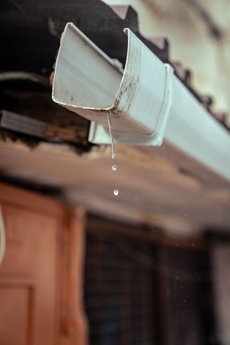 Gutter Cleaning after