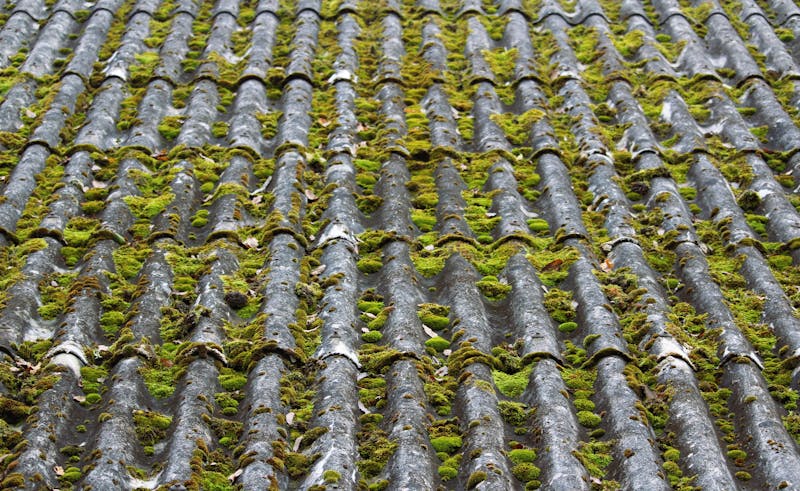 Roof Cleaning before